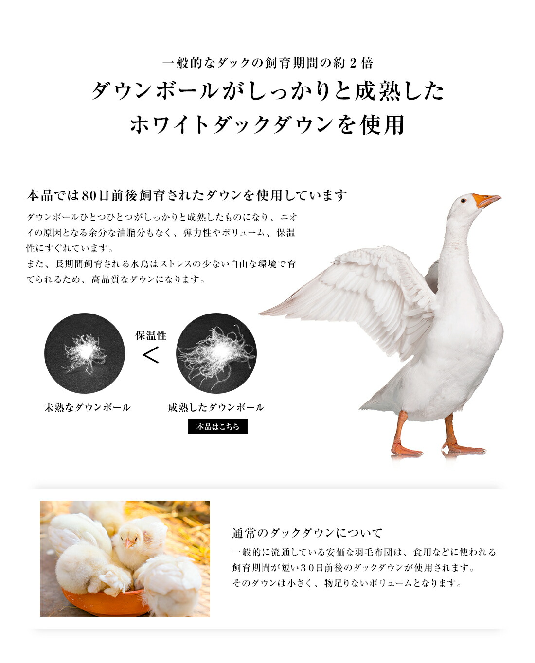 楽天市場】【楽天SS 10%OFF 3/4 20:00開始】高級 羽毛布団 肌掛(薄掛