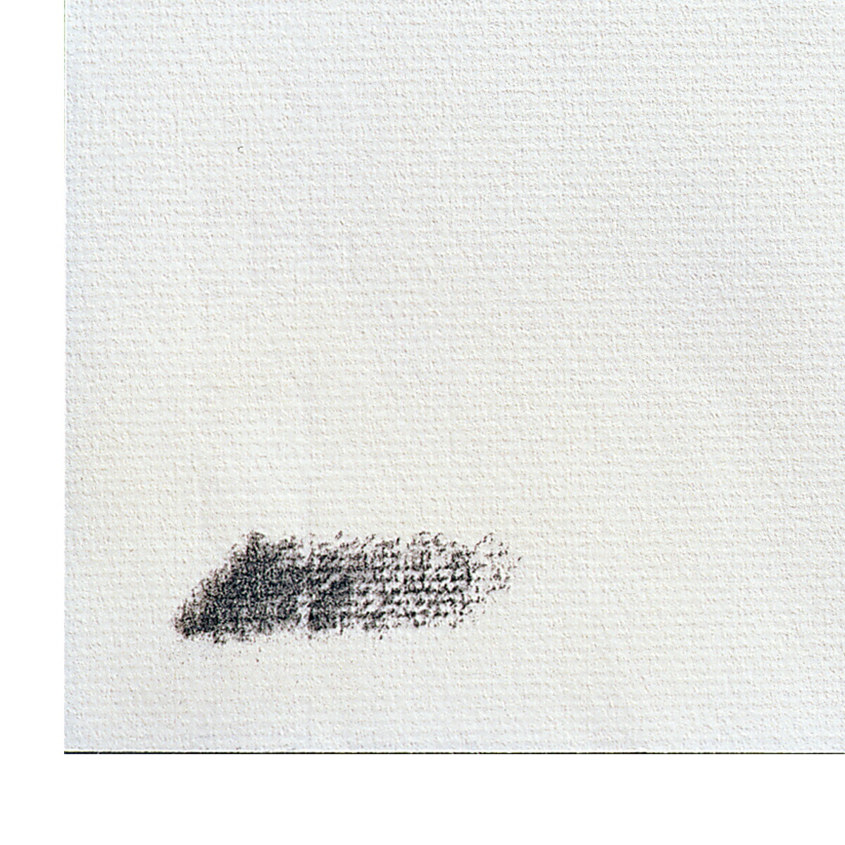 楽天市場】ミューズ NA木炭紙 50枚組 木炭紙判 【 描画用紙 絵画