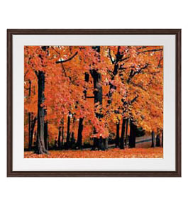 楽天市場】【油絵 直筆仕上げ】秋、紅葉 アートフレーム：色ブラウン