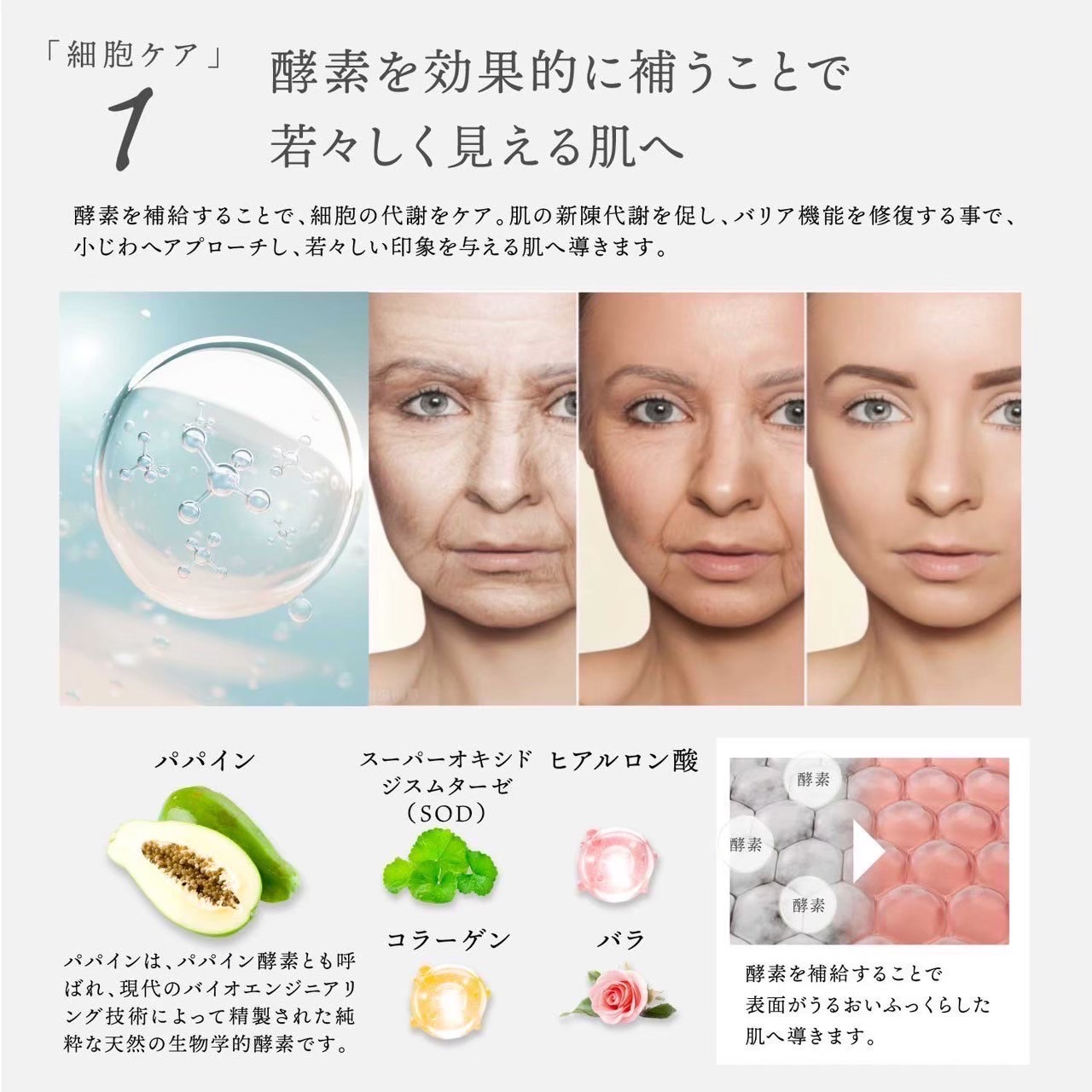 新品未開封 Dr. Kozu ヴァンパイアマスク 楽天市場】公式 Dr.Kozu