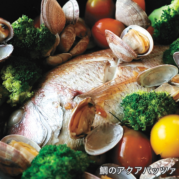 楽天市場】フライパン オールライト 22cm 次世代のフライパン IH ガス