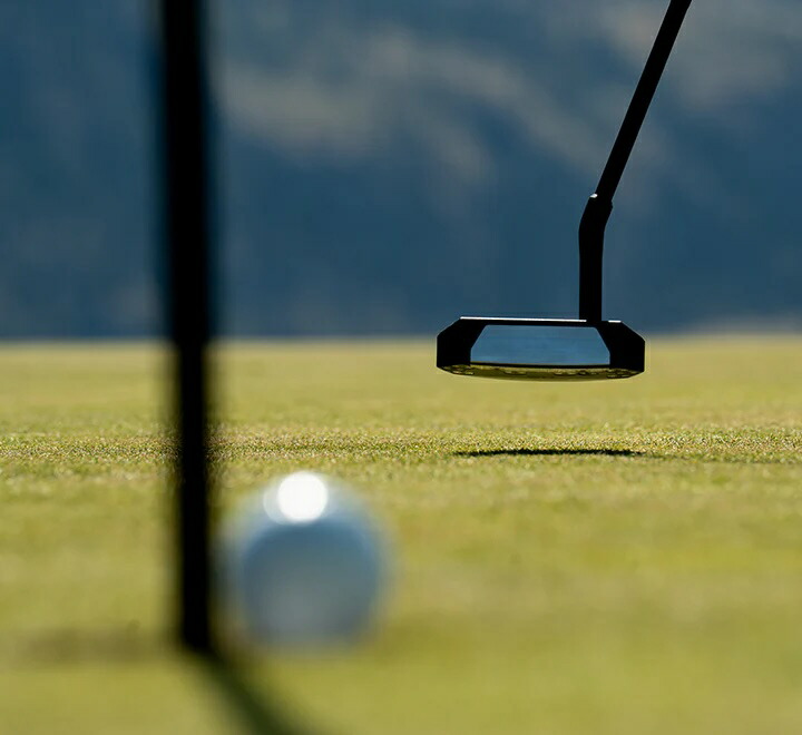 楽天市場】LAB GOLF ラブゴルフ OZ.1i HS ヒールシャフト STOCK パター