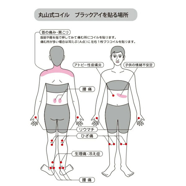 楽天市場】丸山式コイル ブラックアイナノ 6個入 電磁波防止 電磁波
