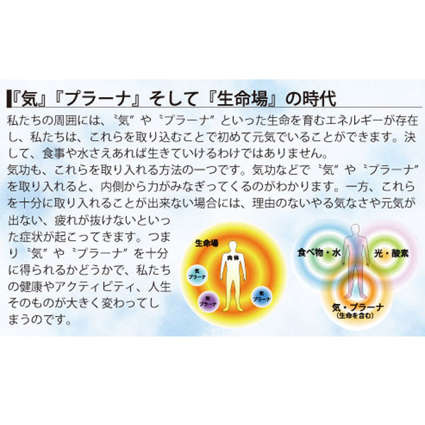 楽天市場】3Dカバラ・パドマペンダント 医学博士 丸山式 丸山