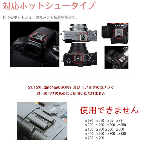 楽天市場】子供の視線を集めやすい 一眼レフ ミラーレス一眼レフ