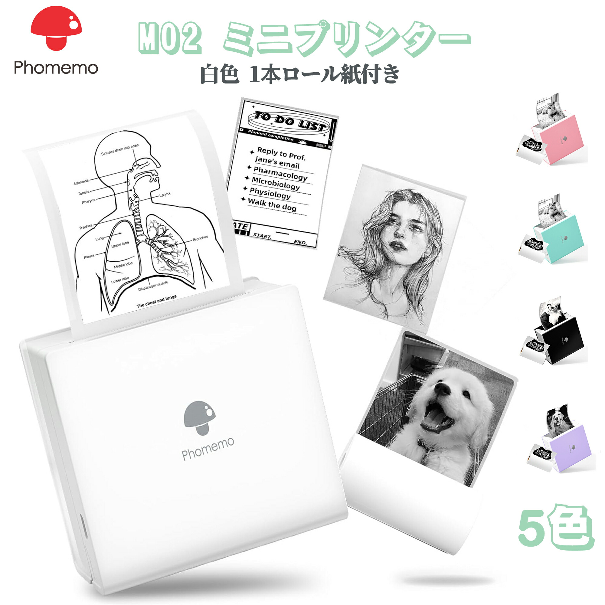 楽天市場】【P10倍＋10％OFFクーポン 11.27迄】Phomemo M02ミニ