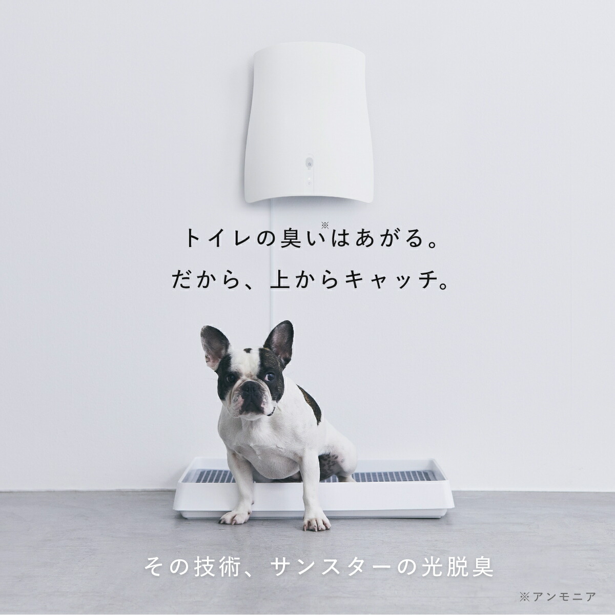 楽天市場】【本体+専用スタンドセット】QAIS ペット ニオイ 脱臭機 犬