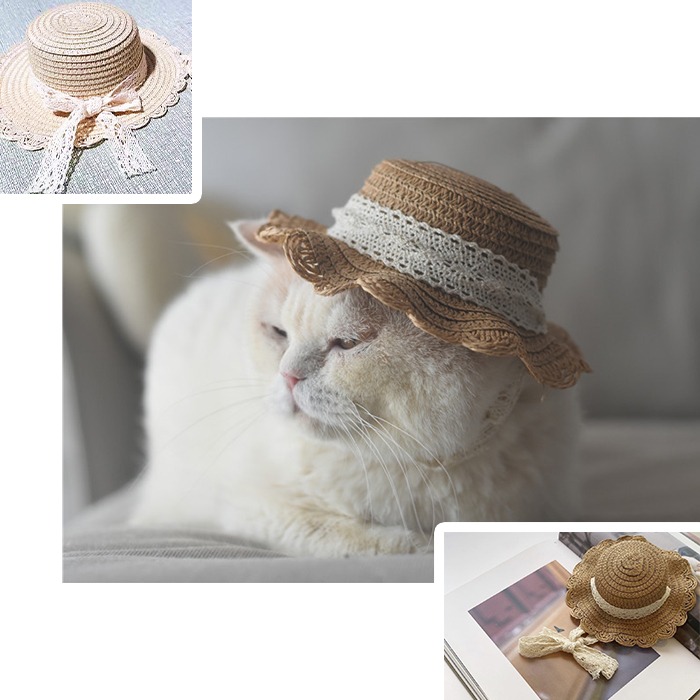 楽天市場】ペット用帽子 麦わら帽子 春 夏 帽子 アクセサリー 犬 犬用