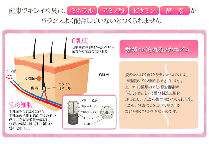 楽天市場】ミノキシジル 誘導体 スカルプ シャンプー オーロラ