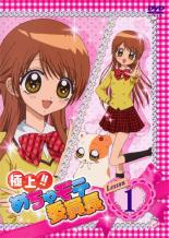 楽天市場】めちゃモテ委員長dvdの通販