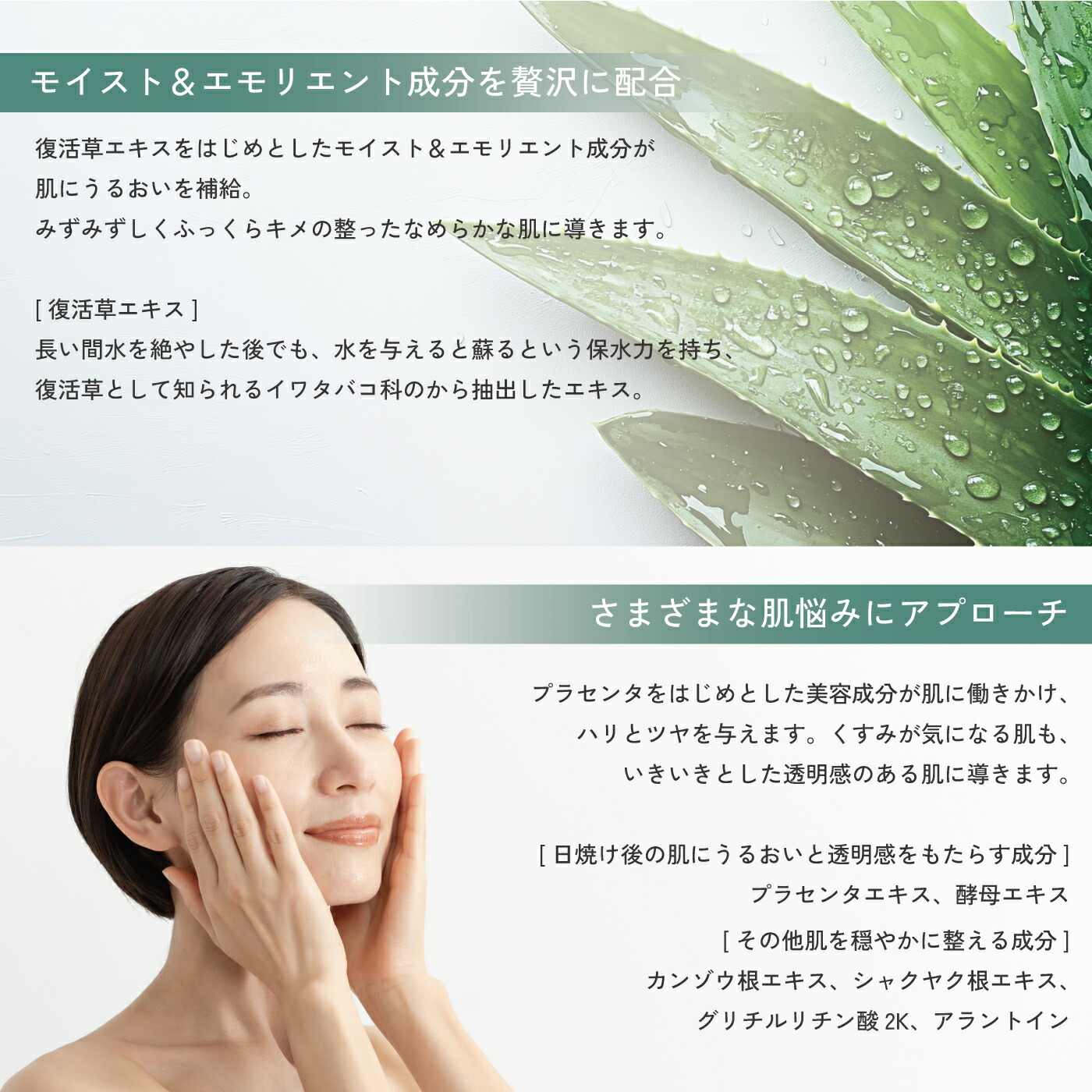 楽天市場】モイスト クリームマスク Pro ビービーラボラトリーズ