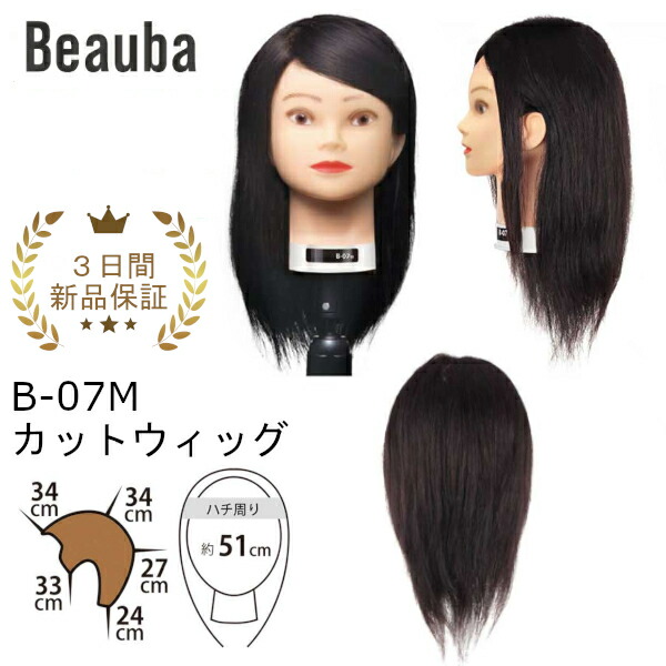 楽天市場】国家試験 カットウィッグの通販