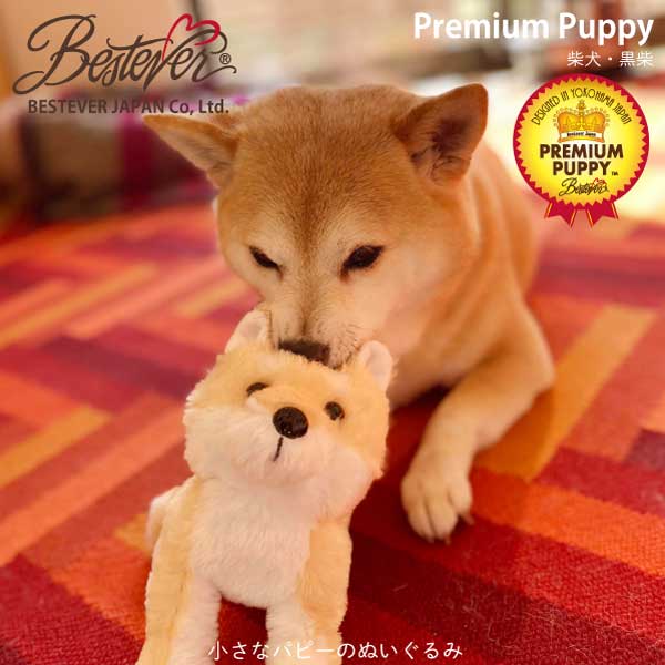 楽天市場】【BESTEVER】犬 ぬいぐるみ リアル 仔犬 可愛い 手のり