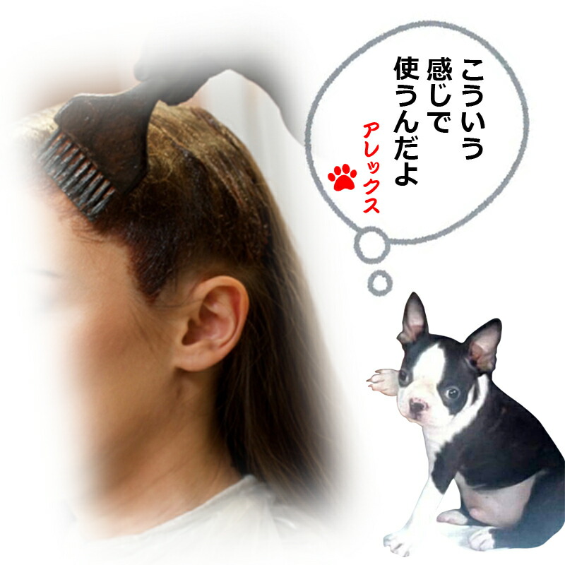 楽天市場】FIOLE フィヨーレ BLカラー ラディーチェ [ ナチュラル