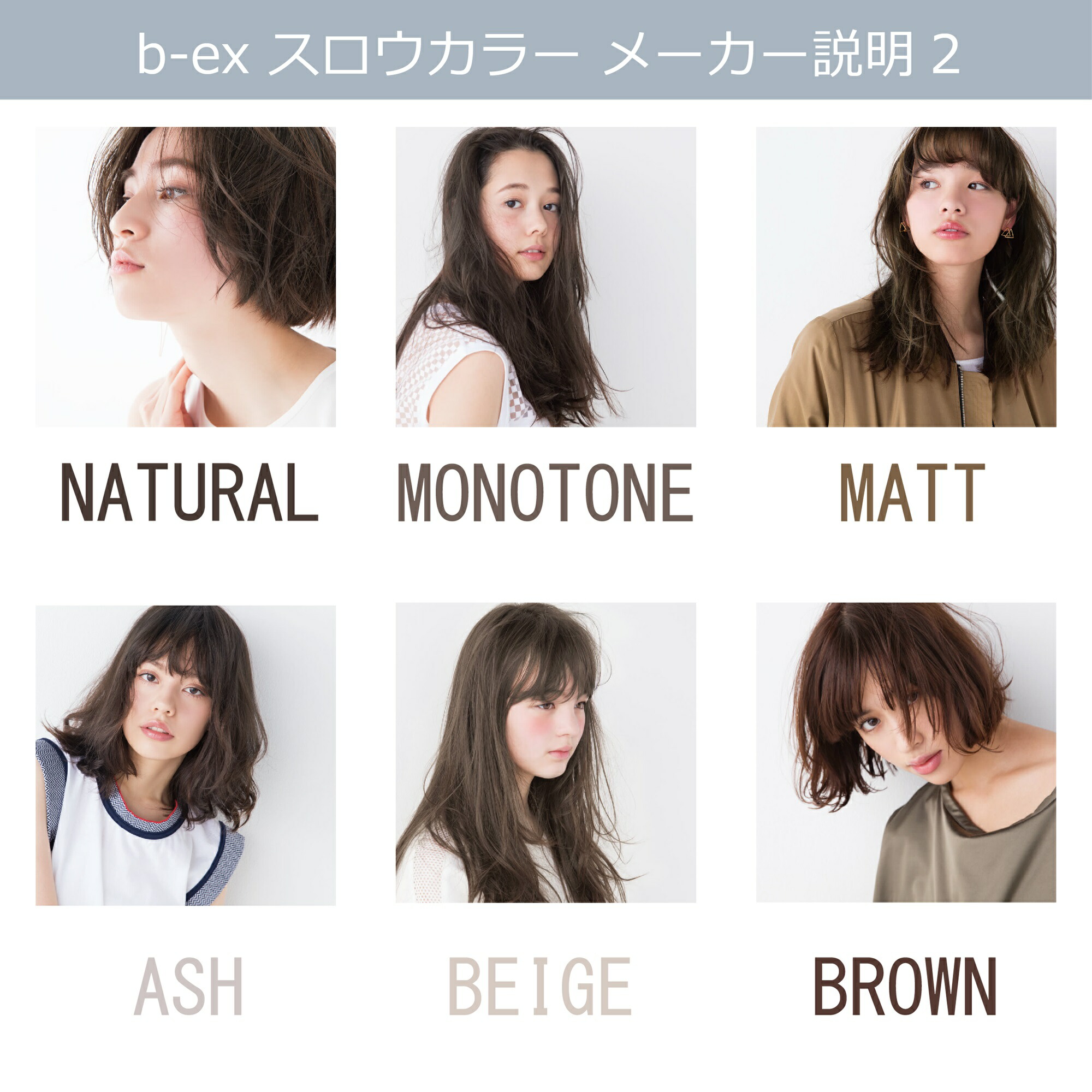 楽天市場】スロウカラー [ バイオレット V/10 ] 100g パープル