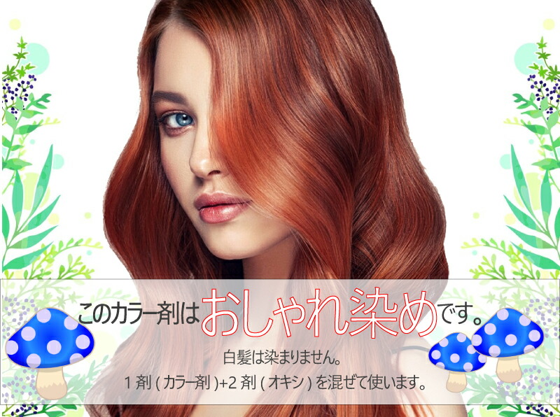 楽天市場】ミルボン エノグ 絵の具 オキシ 1リットル セット 女性用