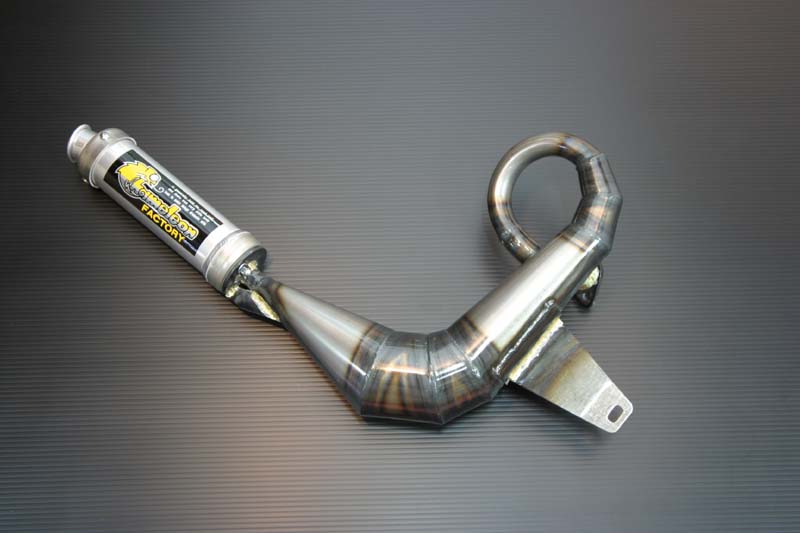 楽天市場】パラライザーiii カメレオンファクトリーの通販