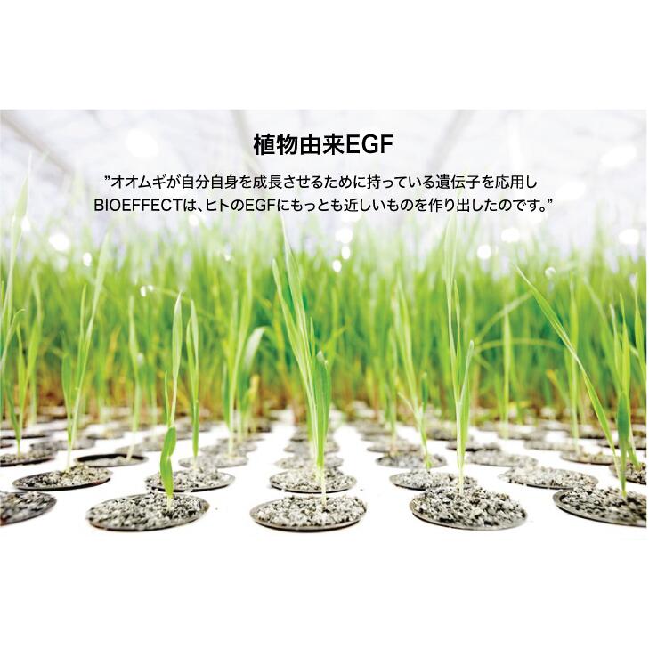 楽天市場】【スーパーSALE限定20%オフ】【PWセラム2.5ml付】BIOEFFECT