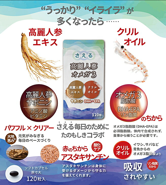 楽天市場】高麗人参 さえる高麗人参オメガ3 【国内正規品】 一和