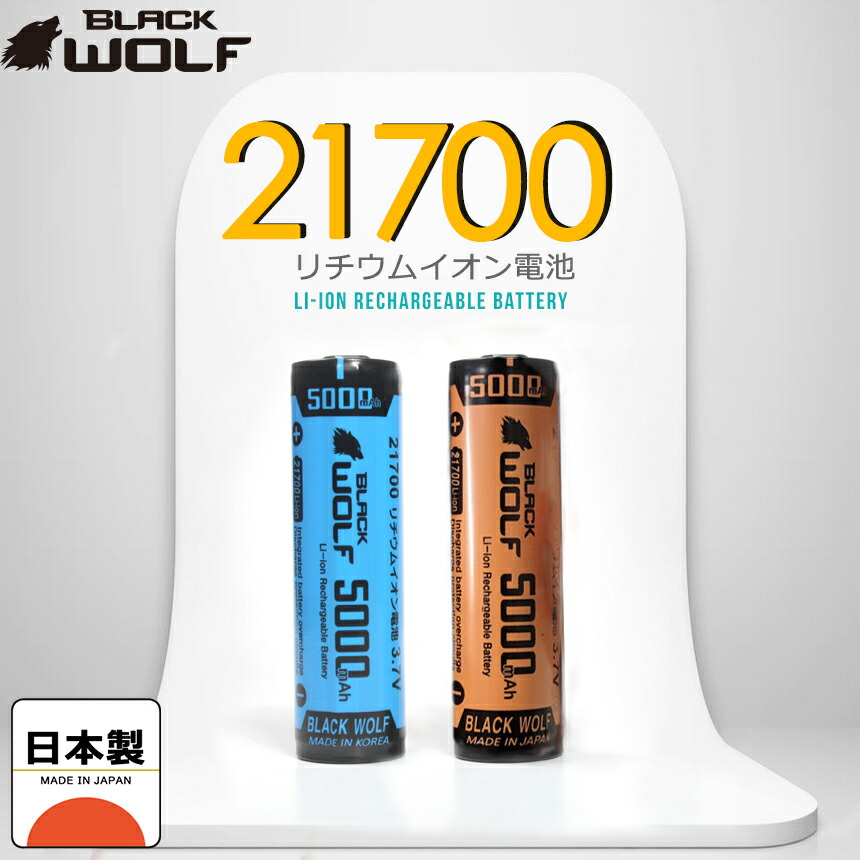 楽天市場】【エントリーでP10倍♪2/28(土）迄】大型 充電器 急速
