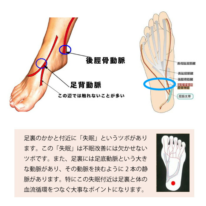 楽天市場】エナジーラバー メディカルホールドGBスポーツ ER-M02GB