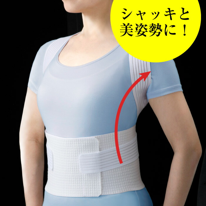 楽天市場】Hydas 背中サポートベルト ドイツ 矯正ベルト 姿勢矯正