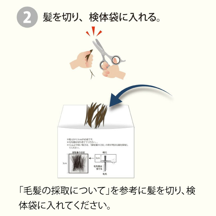 楽天市場】毛髪ミネラル検査 29元素 （WEB方式）NEW らべるびぃ予防