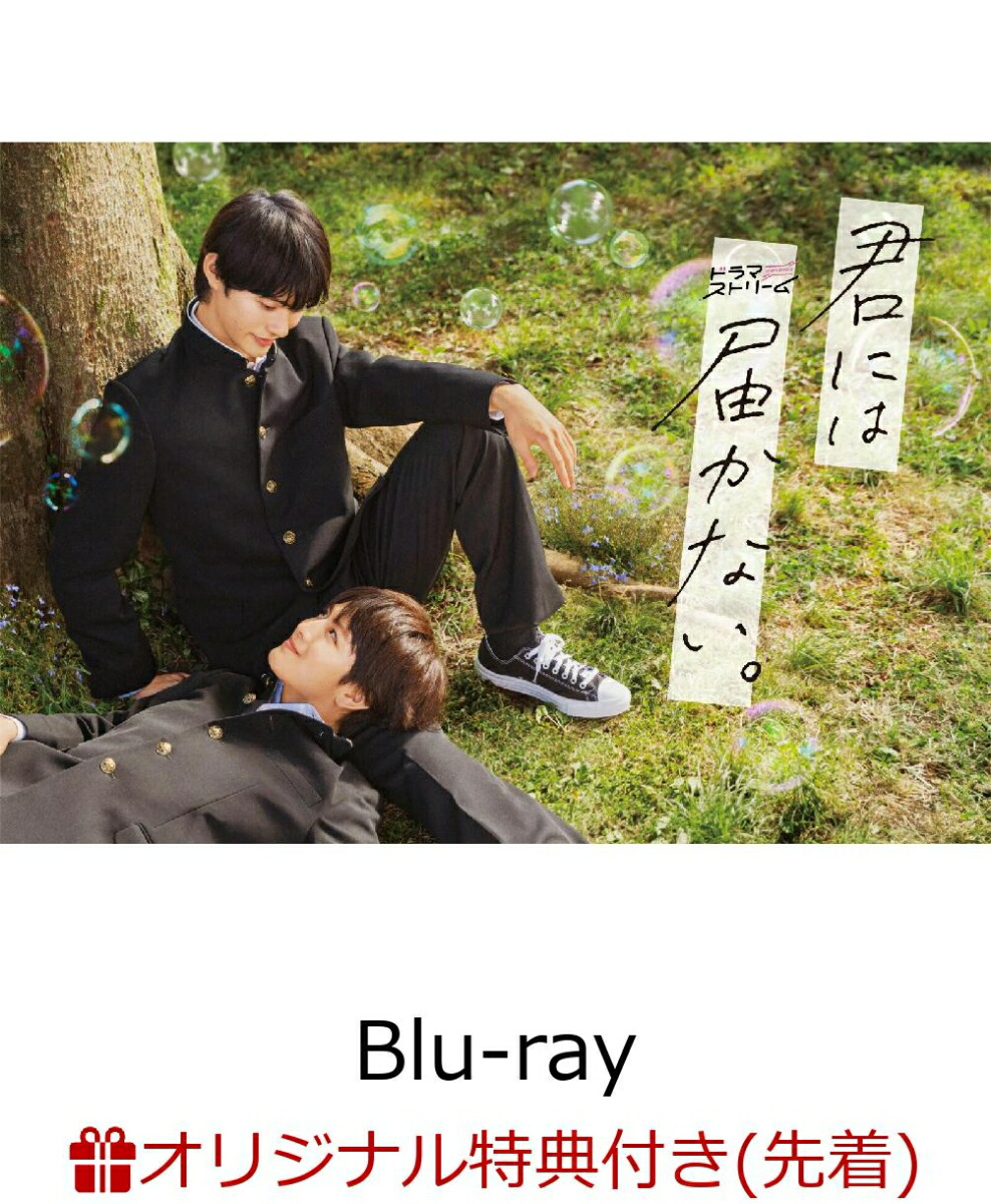 楽天ブックス: 君には届かない。 DVD-BOX - 前田拳太郎