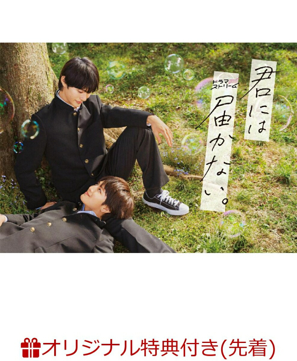 楽天ブックス: 君には届かない。 DVD-BOX - 前田拳太郎