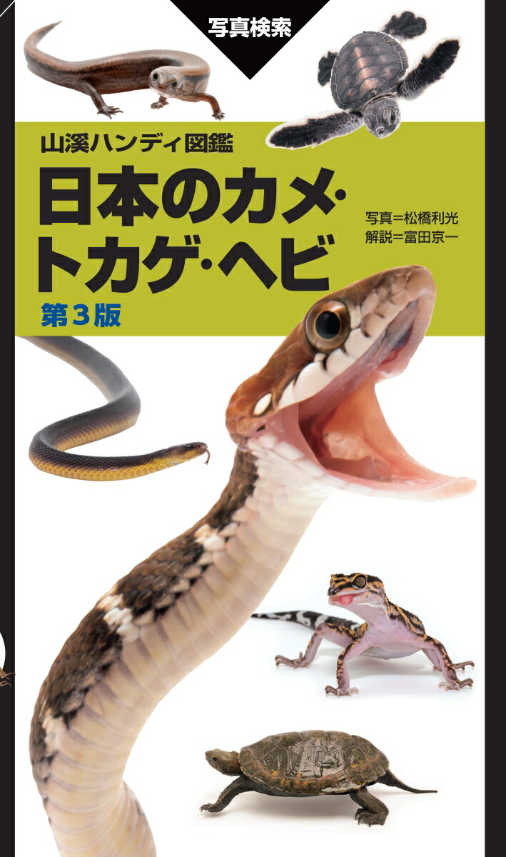楽天ブックス: ホネからわかる！動物ふしぎ大図鑑（3） - 富田京一