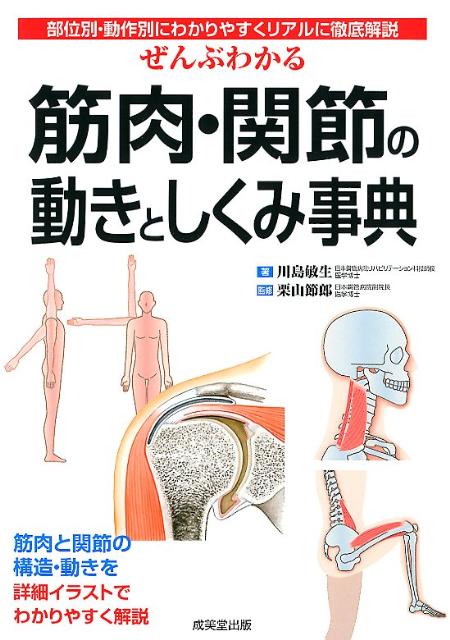 楽天市場】姿勢・動作・症状の解釈と治療戦略 下肢編の通販