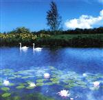 楽天市場】cali≠gari 憧憬、睡蓮と向日葵の通販