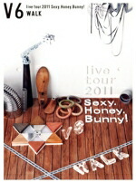 楽天市場】v6 sexy honey bunny dvdの通販