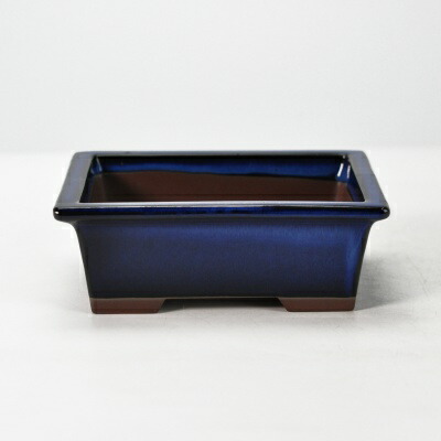 楽天市場】盆栽鉢 植木鉢 【瀬戸焼】生子5号長角切足 和鉢 長方形 長角