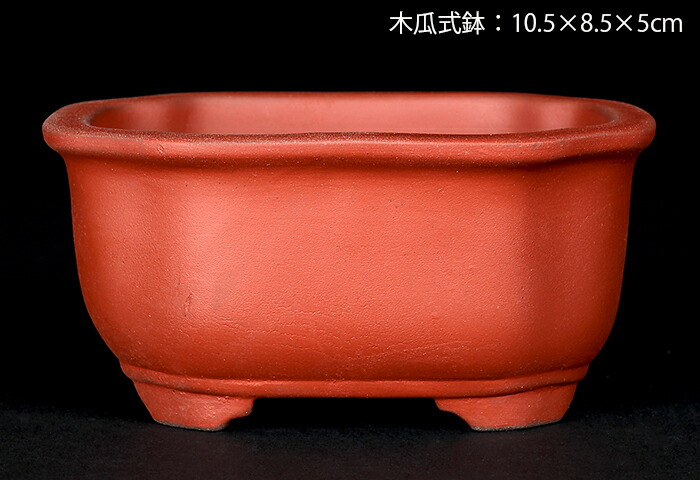 楽天市場】盆栽鉢 植木鉢 「瀬戸焼文山窯泥鉢4点セット」 泥鉢 焼締 3