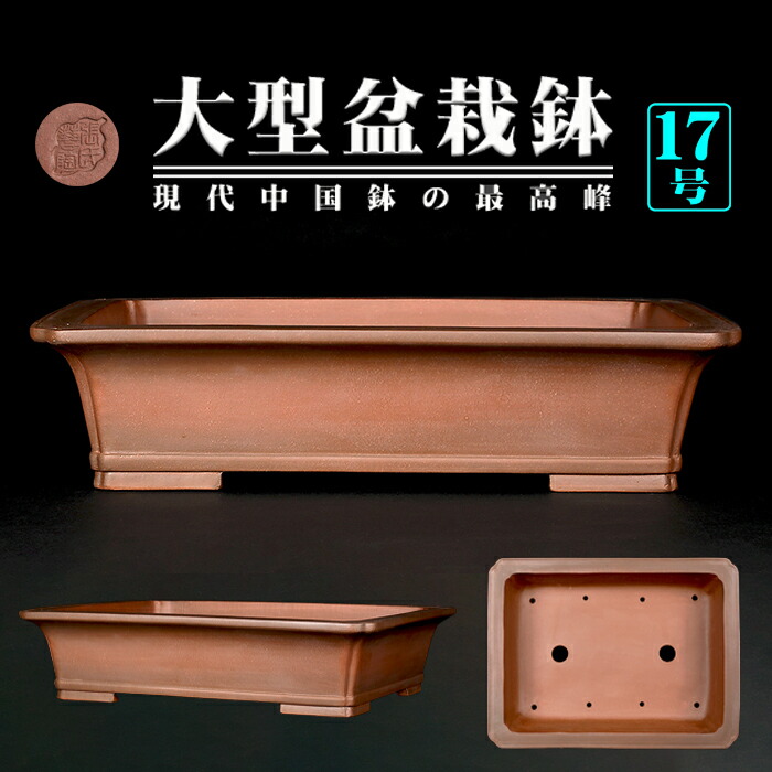 盆栽鉢 大型」の人気商品一覧 | 安い商品を通販サイトから探す - 価格.com