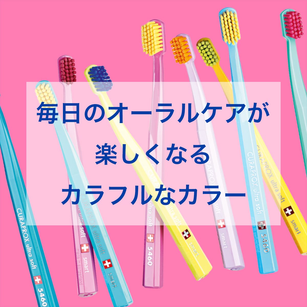 楽天市場】【公式】クラプロックス CSスマート 【1〜6本セット