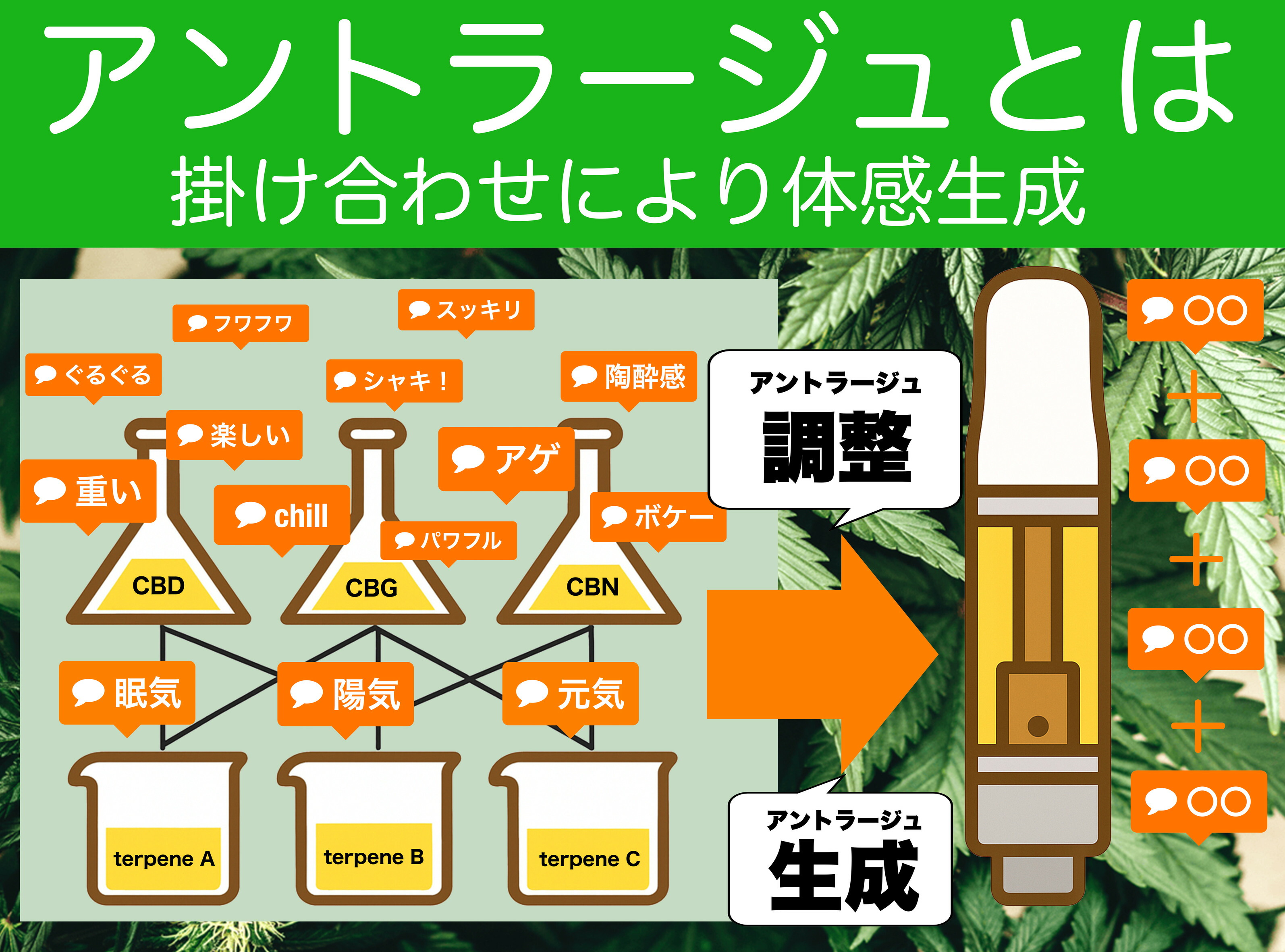 楽天市場 | CBD by cannabirth - テルペン調合のCBDリキッド。合成成分