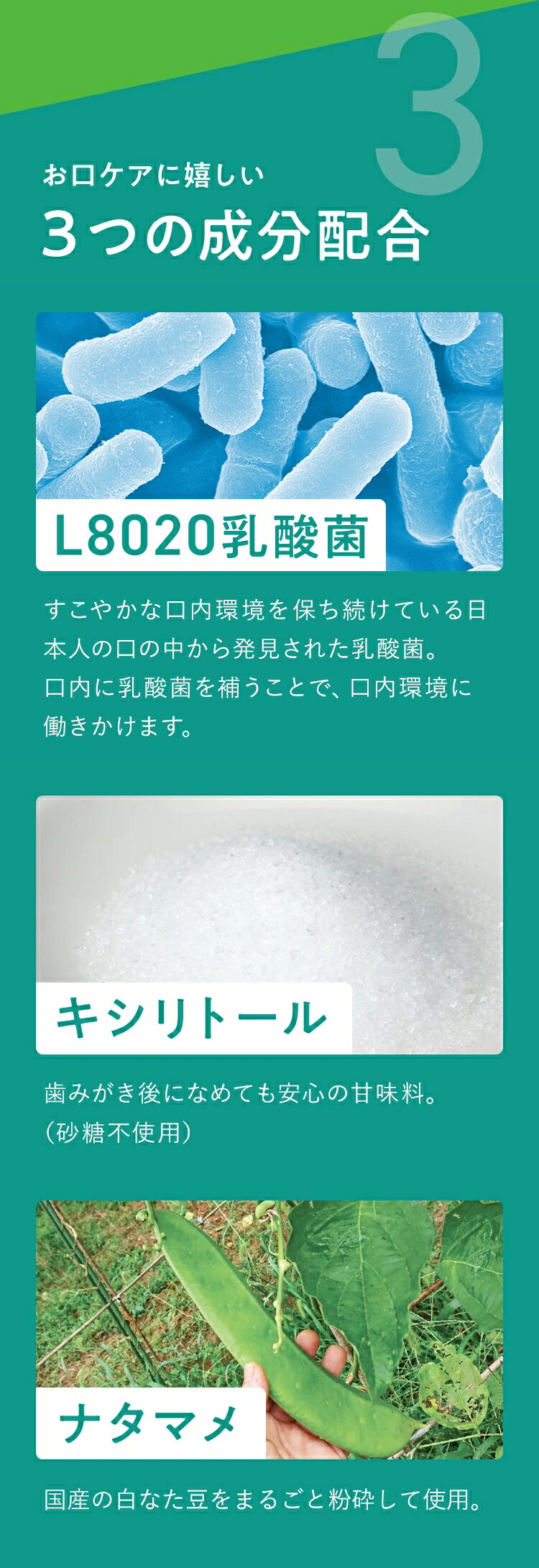 楽天市場】【公式】フジッコ デンタフローラ（1袋31粒入り/約1ヶ月分
