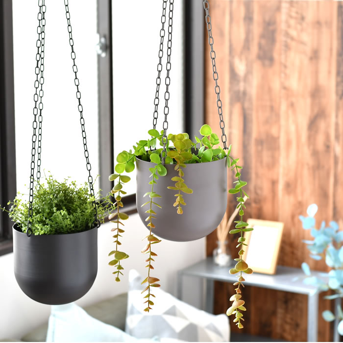 楽天市場】【3月1日は最大ポイント10倍祭♪】ハンギング プランター