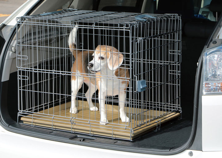 楽天市場】【最大400円OFFクーポン◇要事前取得】犬折りたたみケージ