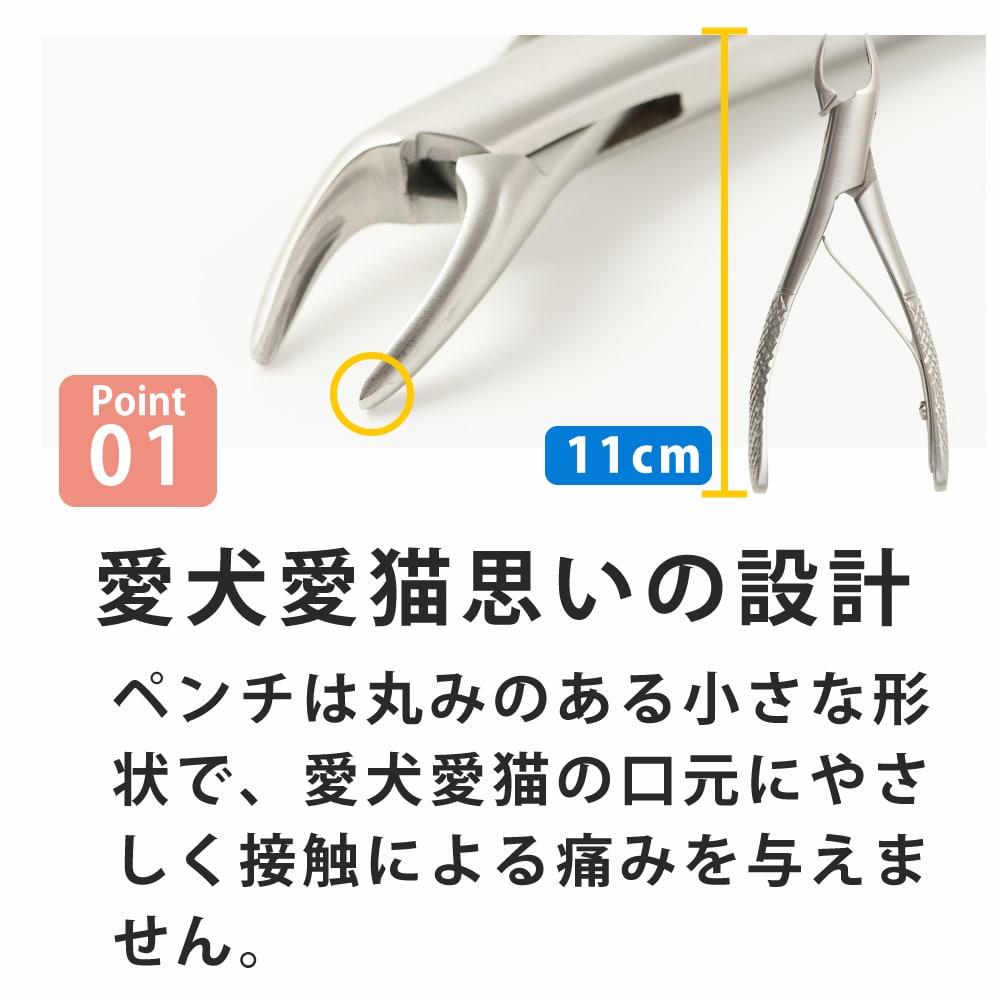 楽天市場】愛犬・愛猫歯石取りペンチとスケーラーセット 犬 お口の匂い