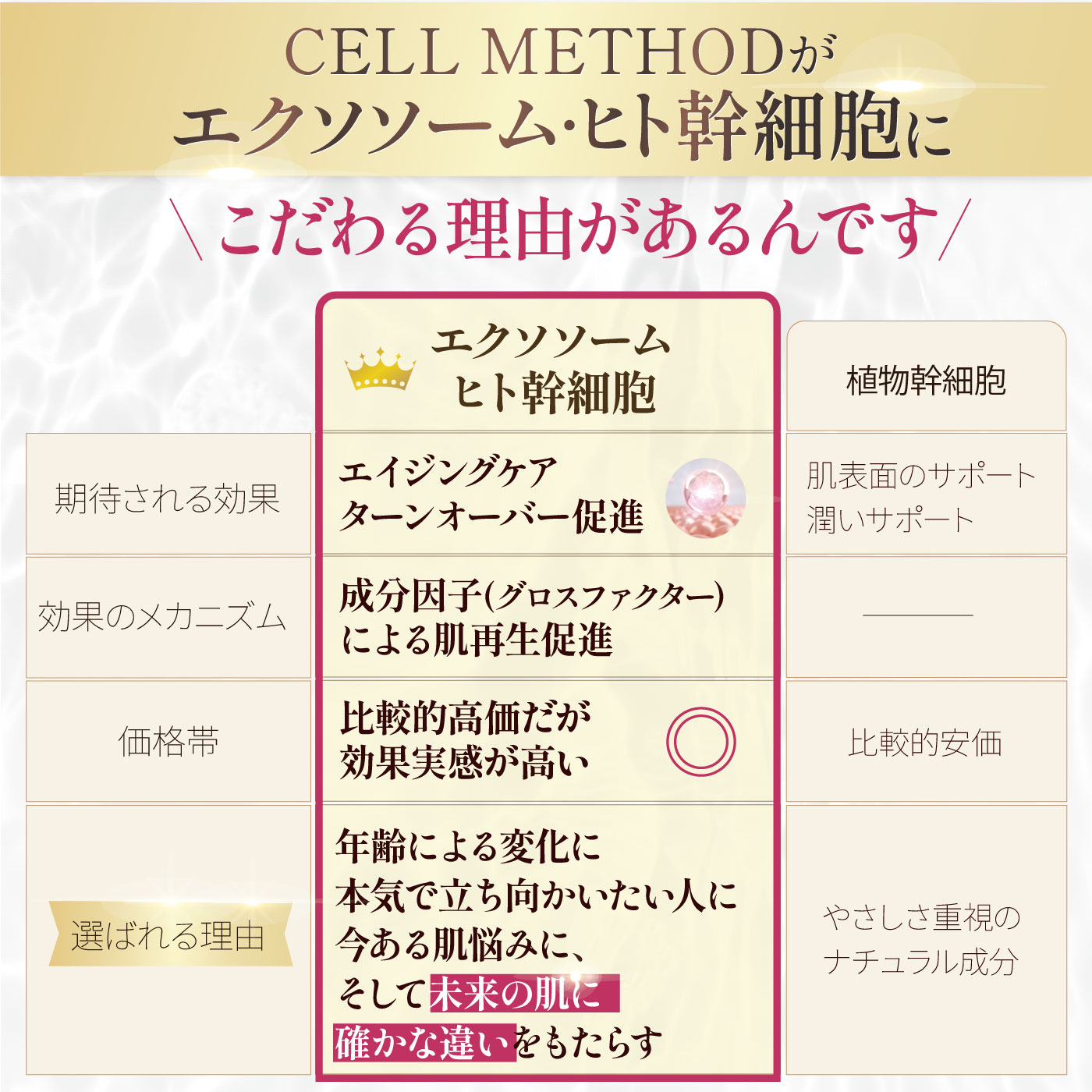 楽天市場】ヒト幹細胞 エクソソーム 美容液 30ml 国産 日本製