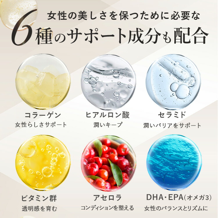 楽天市場】【公式】 cellnote. BV LINE supplement+ Premium