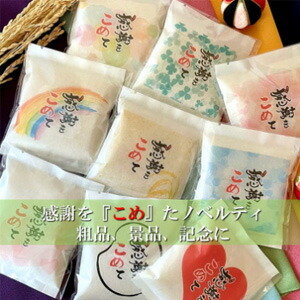 楽天市場】BSファイン レディス プレミアムタイツ 販売店 加茂繊維