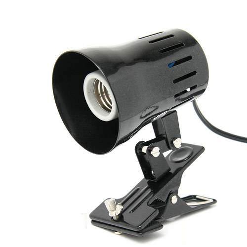 楽天市場】【3／1限定】当選確率2分の1！1等最大100％ GEX