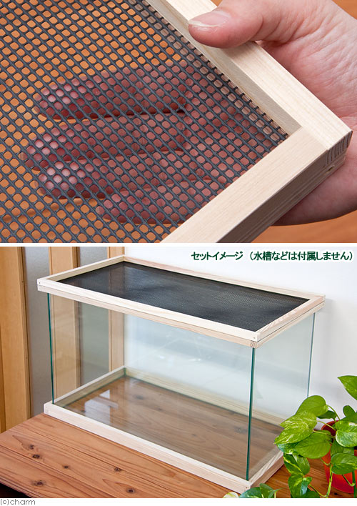 楽天市場】60cm水槽用 メッシュ付木枠セット（杉） 爬虫類 飼育