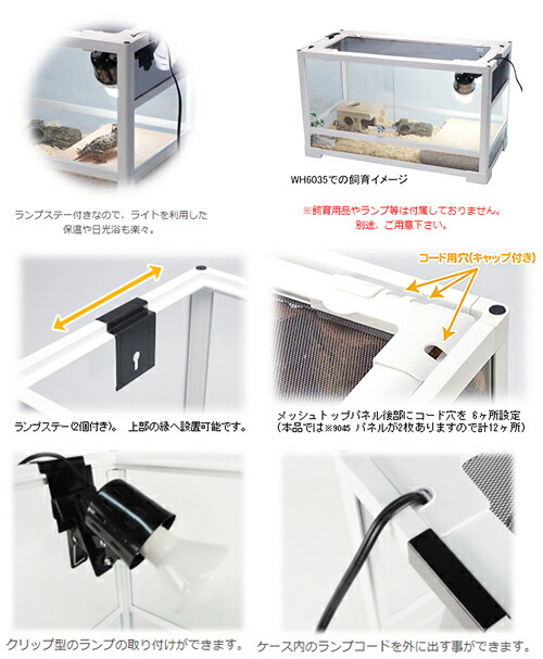 楽天市場】【3／1限定】当選確率2分の1！1等最大100％ 爬虫類