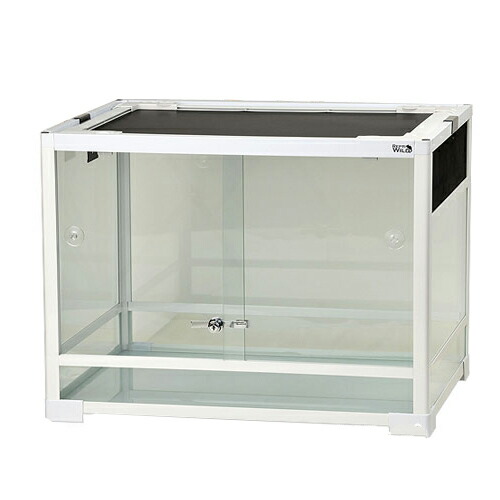 楽天市場】パンテオン ホワイト wh6030の通販