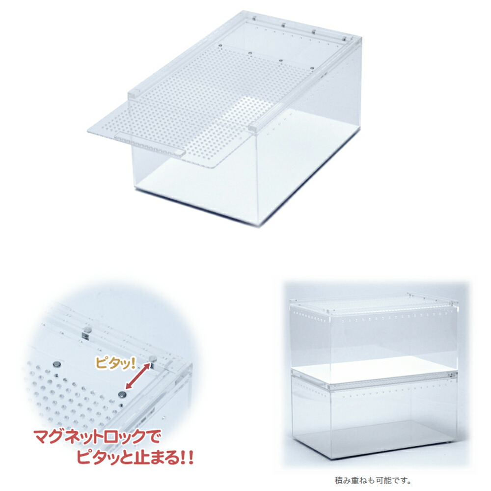 楽天市場】爬虫類ケージ 三晃商会 レプタイルボックス 爬虫類 ケージ